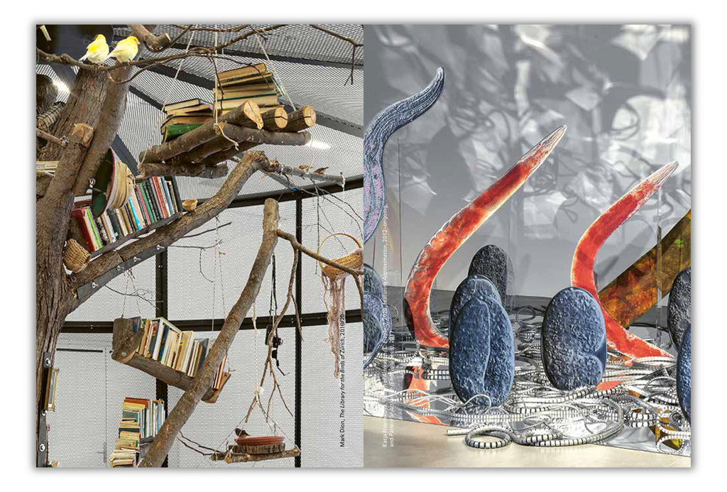 POTENTIAL WORLDS: PLANETARY MEMORIES & ECO-FICTIONS