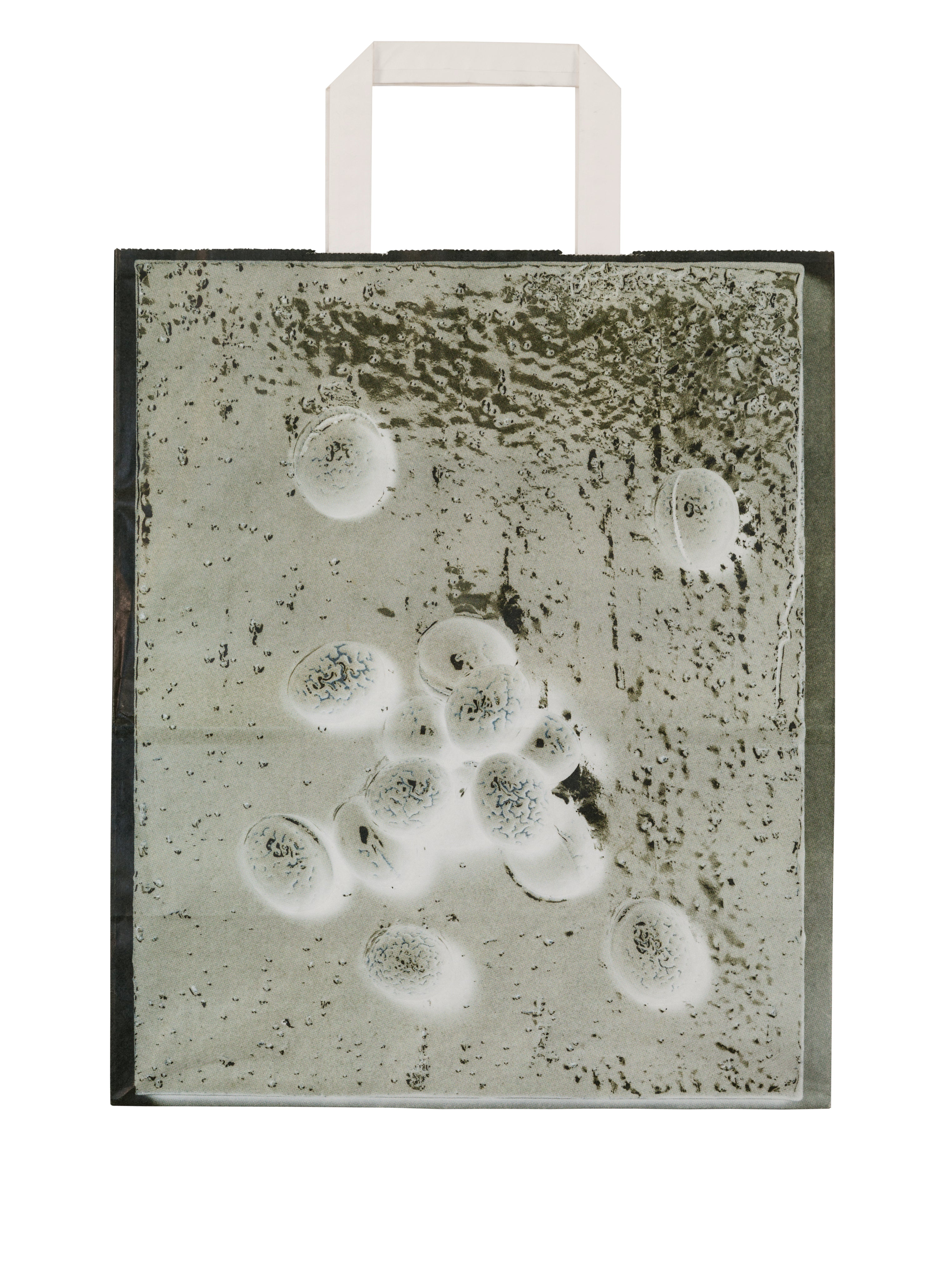 KÜNSTLER*INNENTRAGTASCHE MAI-THU PERRET, 2010