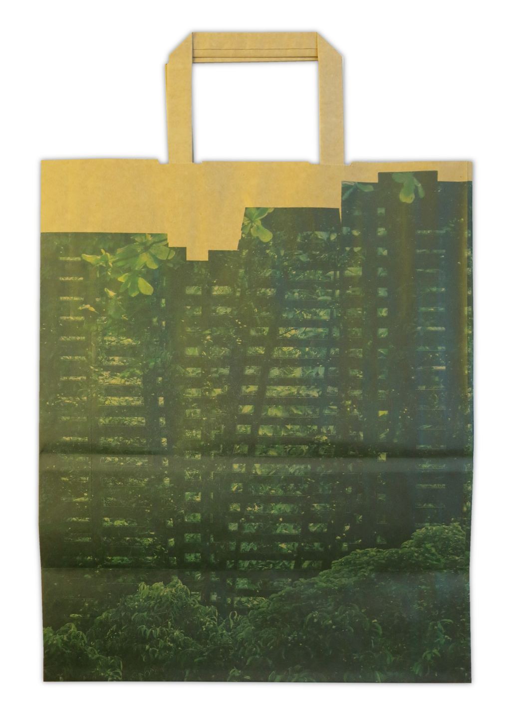 KÜNSTLER*INNENTRAGTASCHE MONICA URSINA JÄGER, 2020