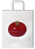 KÜNSTLER*INNENTRAGTASCHE PETER STÄMPFLI, 2018