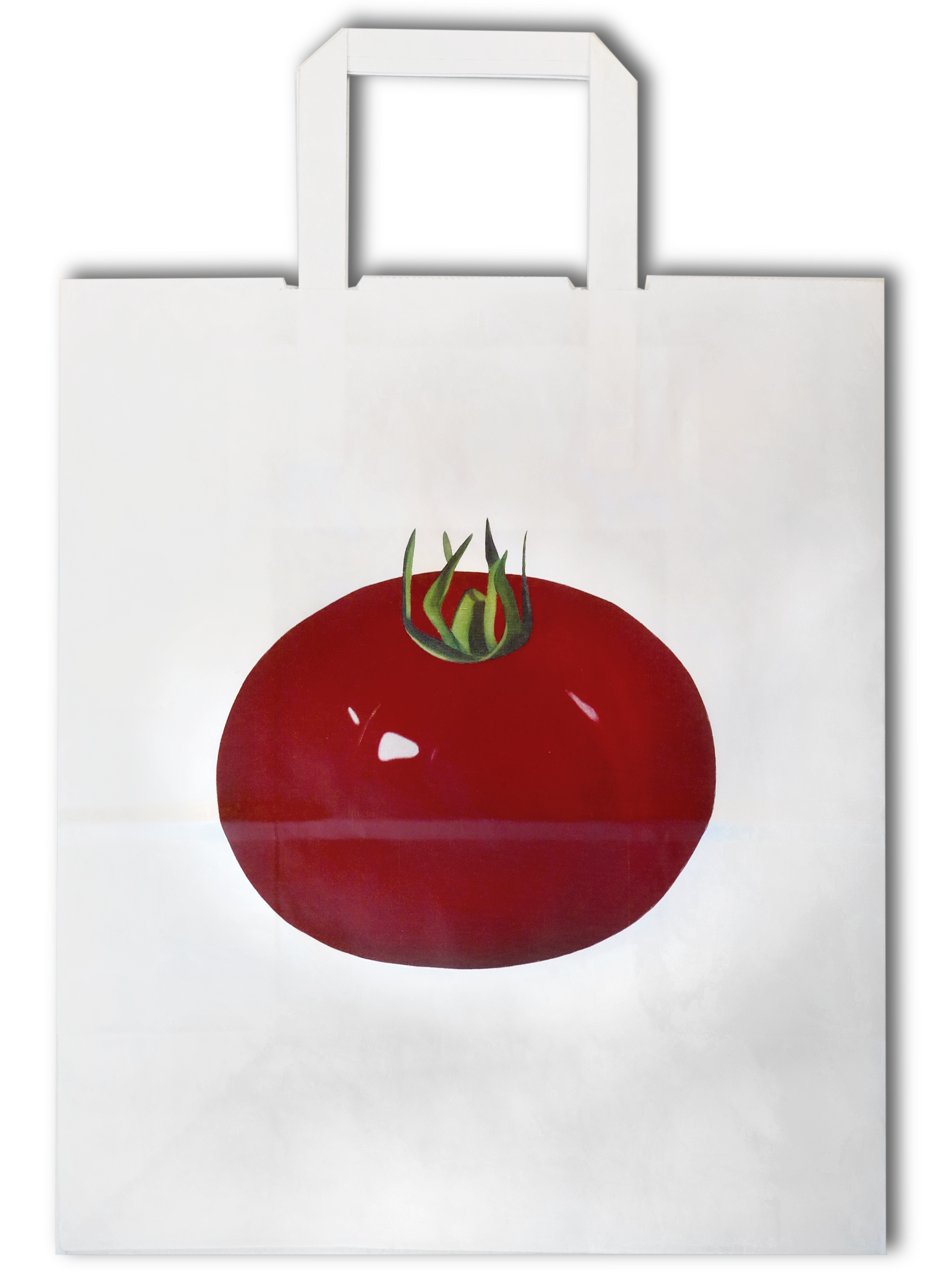 KÜNSTLER*INNENTRAGTASCHE PETER STÄMPFLI, 2018